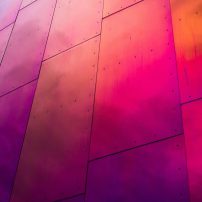 abstract raspberry image