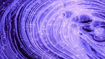 Purple Cell Structure