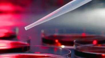Pipette