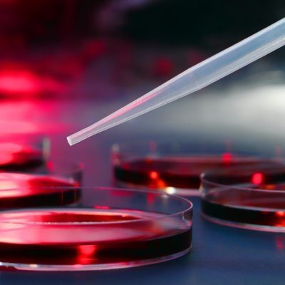 Pipette
