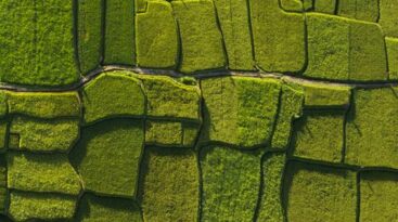 News Abstract Geometric Green
