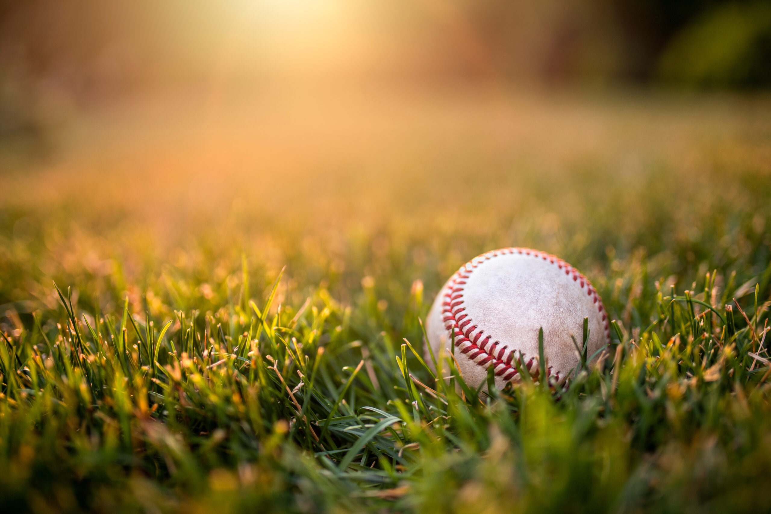 Ball Of Baseball On The Lawn.