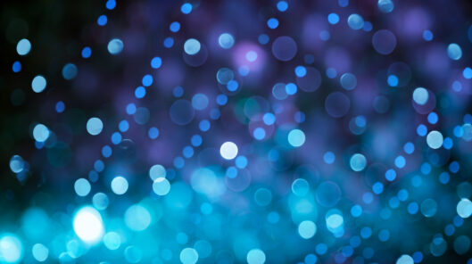 Adobestock 185208703